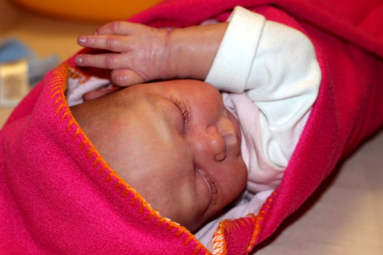 Сплюшечка Ариша ,мастер Ольга Астаповская