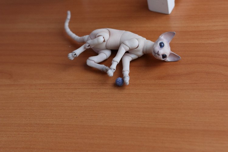 Кот играет с мячиком — Разные куклы BJD (БЖД): редкие бренды