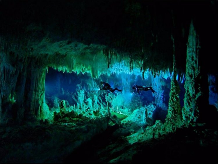 Лучшие фото National Geographic