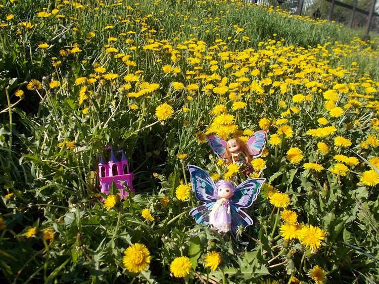 Попробуем рассказать сказку (фото 2)