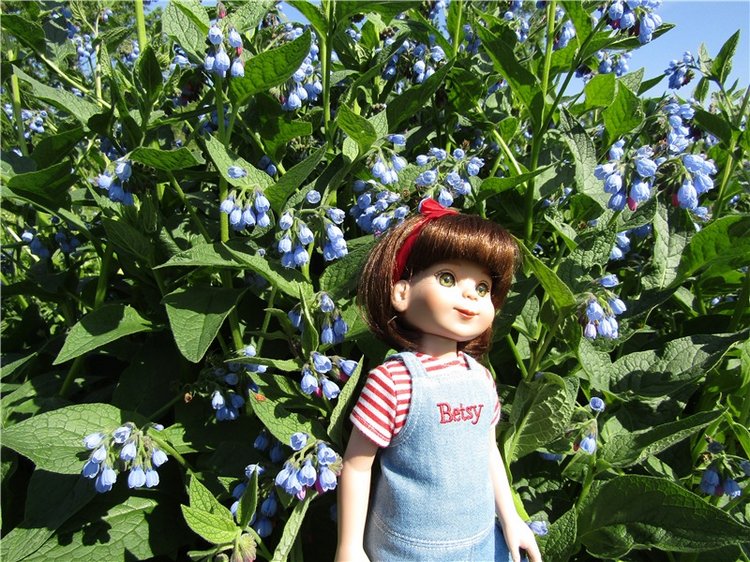 Бетси Robert Tonner. С красным бантом по зеленому лугу