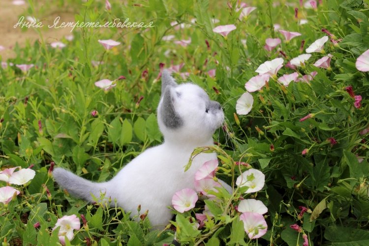 На прогулке — Валяные игрушки из шерсти: сухое валяние (фото 7)