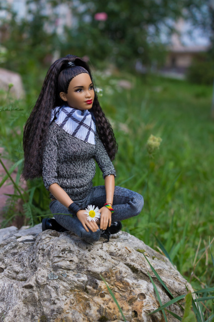 Мои Барбеечки Made to Move и гибриды