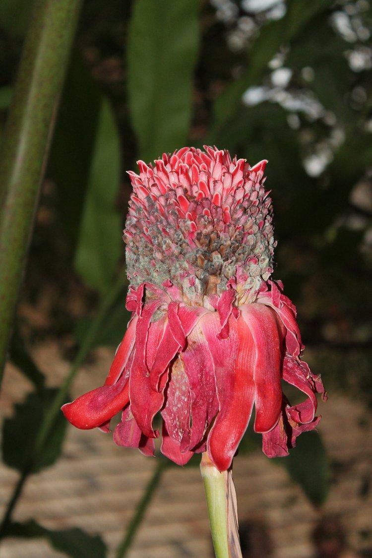 По Германии: зоопарк Лейпцига, часть 2