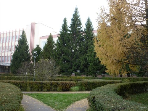 Золотая осень. Старый Оскол, Белгородская область