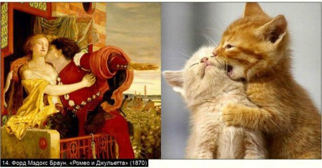 «Мяу» особого назначения или Весенняя кошкотерапия