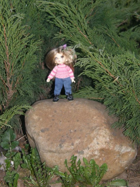 Первая вылазка на улицу. Puki fee Ante, bjd