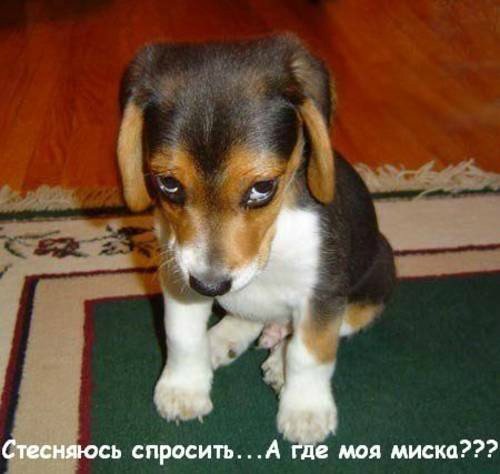 Понедельник - день тяжёлый | Бэйбики Понедельник - день тяжёлый (фото 5)