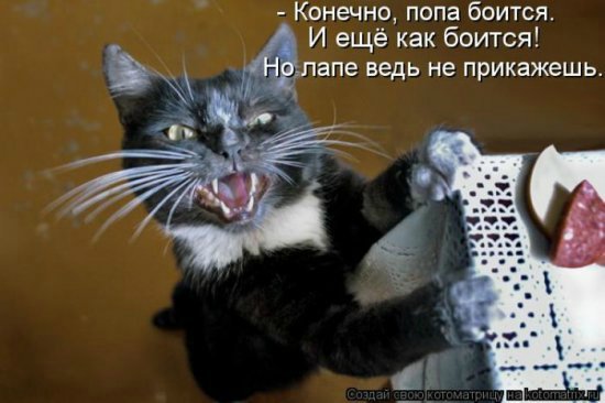 Море позитива) Для поднятия настроения (осторожно! много фото)))) | Бэйбики Море позитива) Для поднятия настроения (осторожно! много фото))))