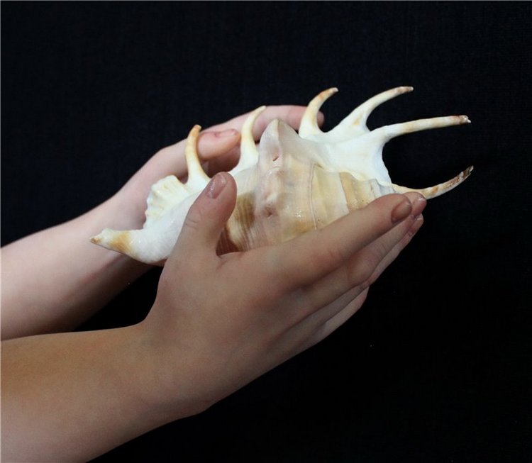 Пять минут до осени... Куклы реборн Елены Ядриной