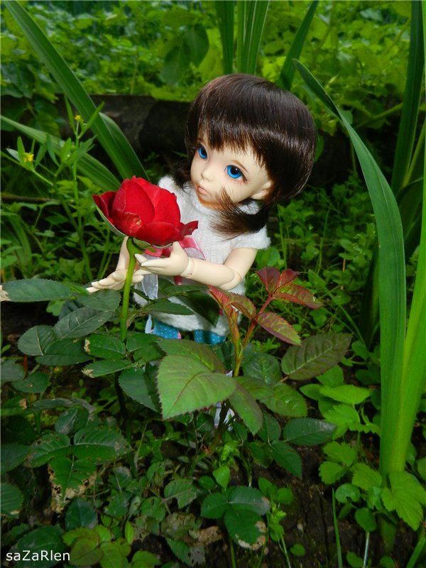 Варвара путешевственница (Литтлфи Анте)