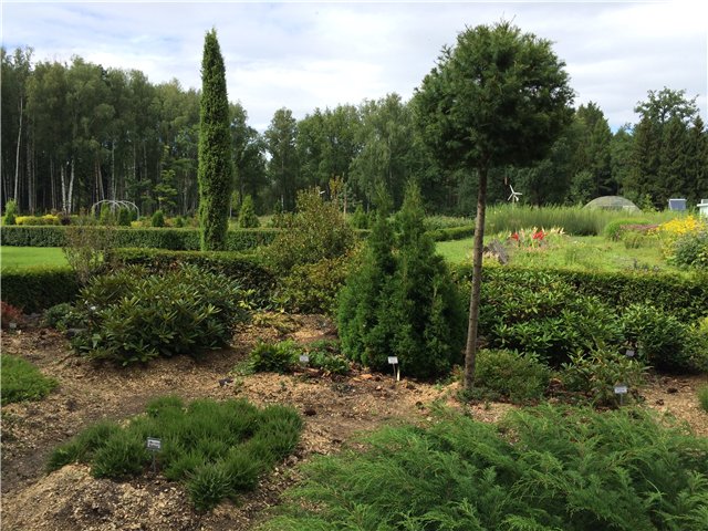 Светлая Галадриэль, или путешествие по Эльфийскому лесу | Бэйбики Светлая Галадриэль, или путешествие по Эльфийскому лесу