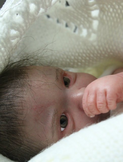 Зая, мини реборн Элины Кудрявцевой