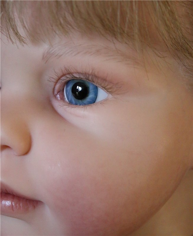 Луизонька. Кукла-реборн Елены Иваховой (фото 5)