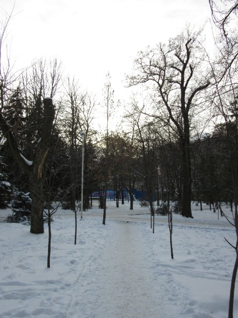 Чем бы заняться юному лорду 30 декабря