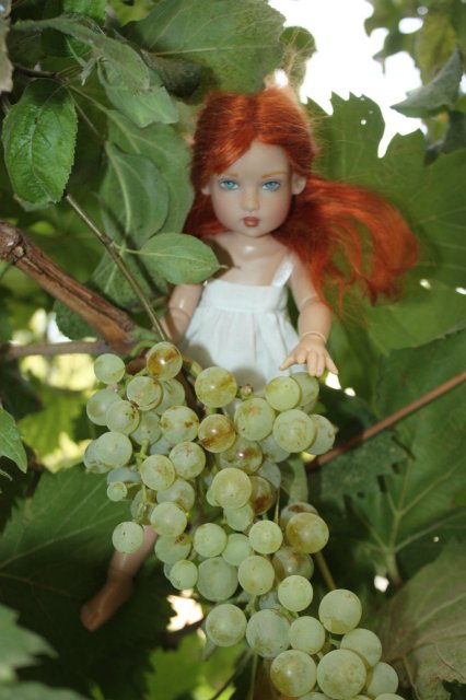 Один день из жизни цветочной феи. Бетани от Helen Kish | Бэйбики Один день из жизни цветочной феи. Бетани от Helen Kish