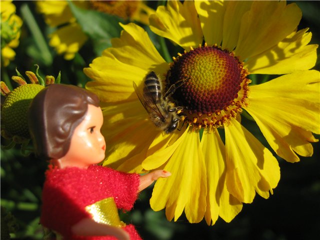 Немецкие куклы-пупсики Ари (ARI)