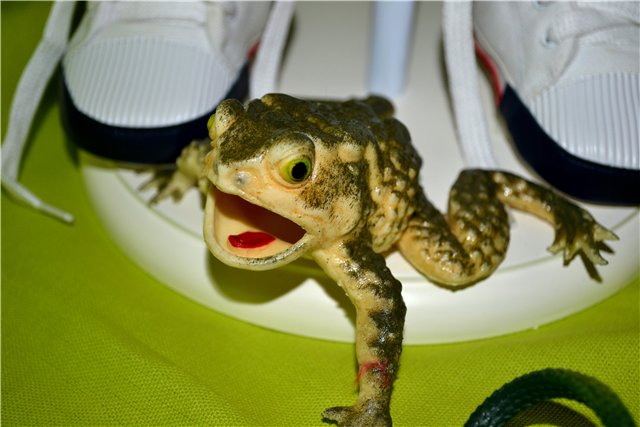 Осторожно! Рыжая дразнилка-задавака Сьюззи... Suzze Q Elite Dolls Collection 1997 (фото 3)