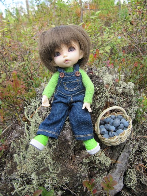 Как Майка за ягодами ходила. Кукла БЖД | Бэйбики Как Майка за ягодами ходила. Кукла БЖД