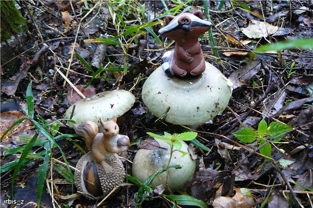 Осенняя сказка. Часть 3(заключительная). PukiFee Ante Ариэтти, PukiFee Bonnie Ариэль | Бэйбики Осенняя сказка. Часть 3(заключительная). PukiFee Ante Ариэтти, PukiFee Bonnie Ариэль (фото 2)