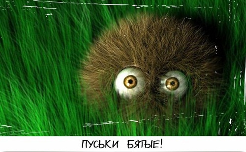 Петрушевская Людмила Стефановна (фото 2)