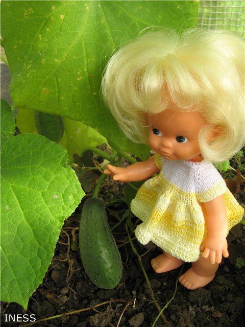 Поездка на дачу — Винтажные куклы ГДР (Немки): Бигги (фото 4)