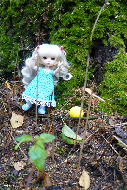 Осенняя сказка. Часть 2. (PukiFee Ante Ариэтти, PukiFee Bonnie Ариэль) | Бэйбики Осенняя сказка. Часть 2. (PukiFee Ante Ариэтти, PukiFee Bonnie Ариэль)