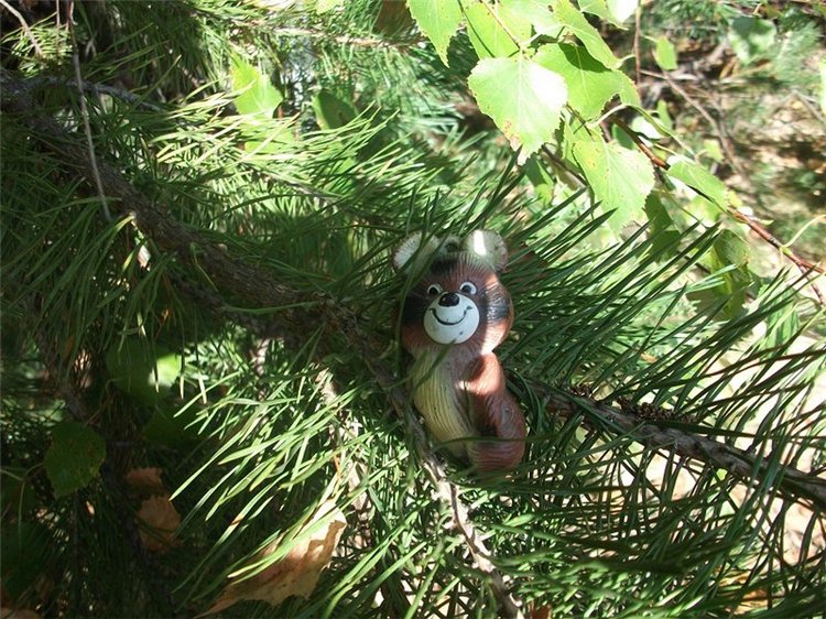 Миша-Мишанька-Моя любимая игрушка детства (фото 10)