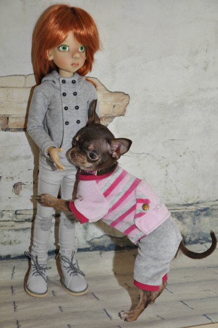 Лайла (Кайе Виггз) с Феней (чишечка). Надеюсь, что любителей собачек на сайте также много, как и поклонников кукол от Кайе