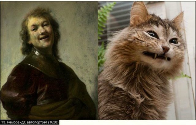 «Мяу» особого назначения или Весенняя кошкотерапия