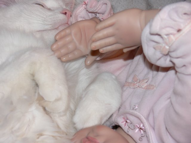 Интересно, кто кого больше любит (фото 4)