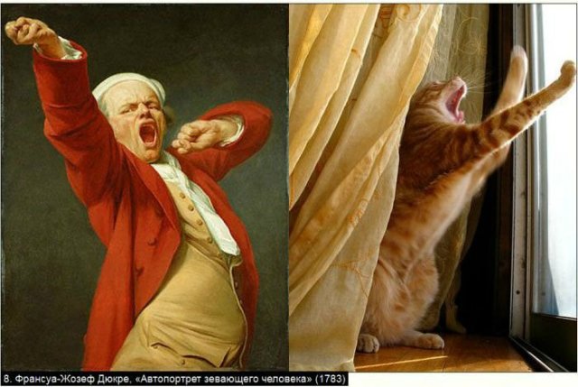 «Мяу» особого назначения или Весенняя кошкотерапия