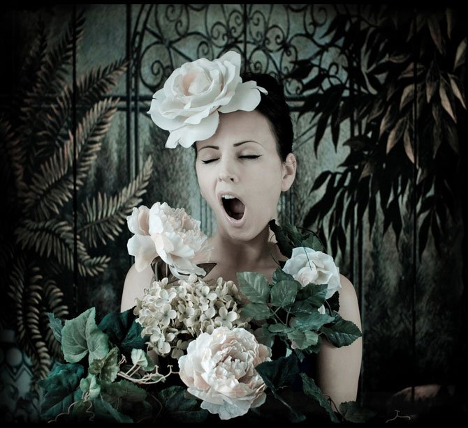 Сказочные фотоработы Кирсти Митчелл (фото 8)
