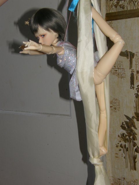 Мой маленький цирк, часть 5. Илана (МСД гибрид)