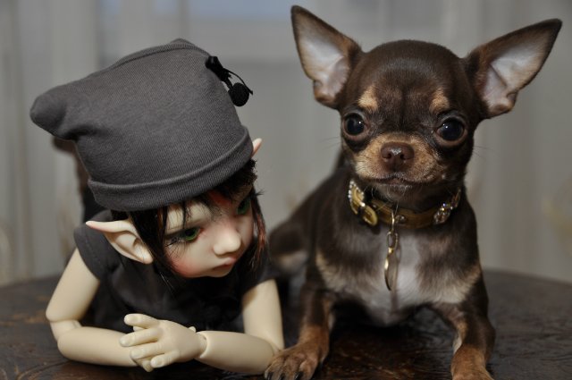 Мой маленький гномик Талиса и Фенечка от Кайе Виггз