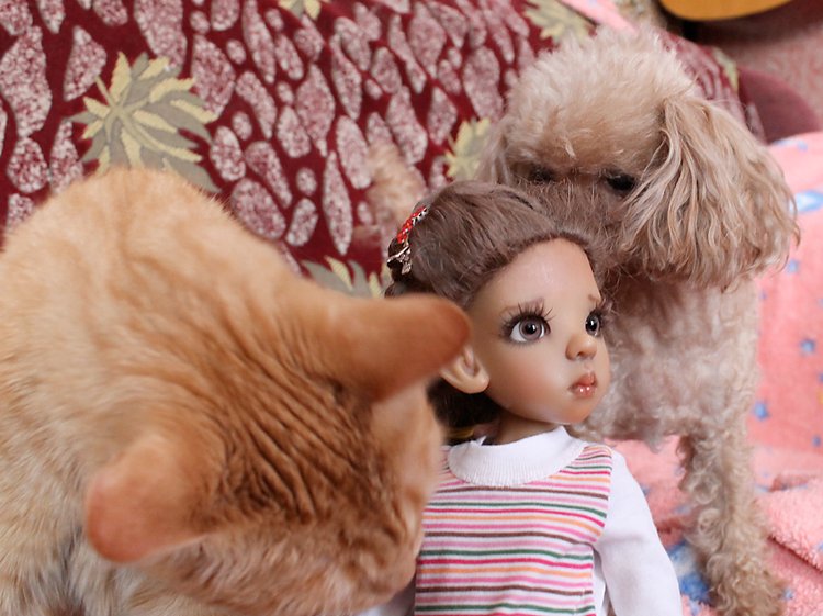 Знакомство Лолы, Kaye Wiggs