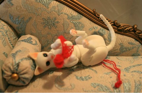 БЖД питомец - кот Као-Мани