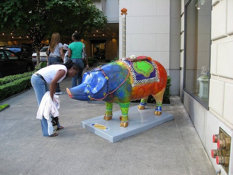 Сиэтл. Такие забавные свинки