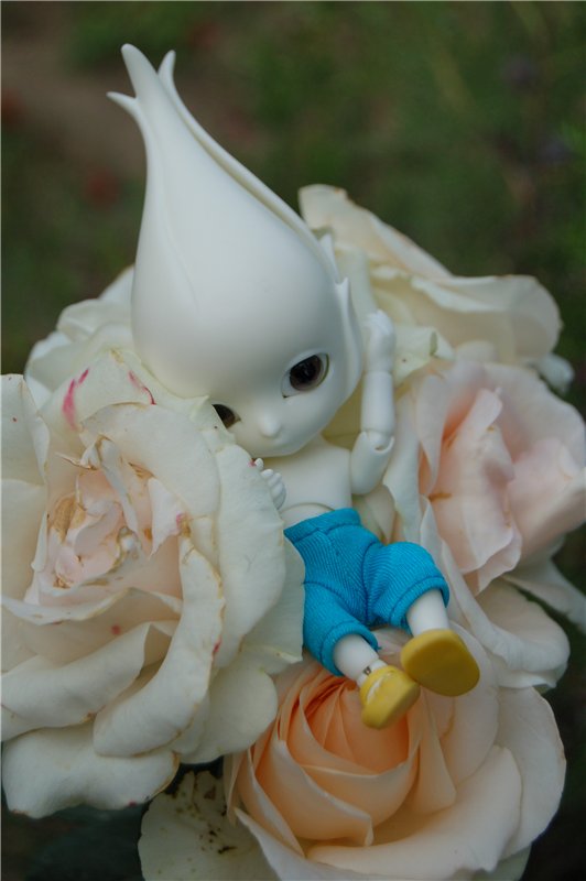 Прогулка по саду Doll zone (фото 6)