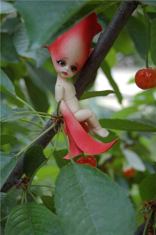 Прогулка по саду Doll zone (фото 9)