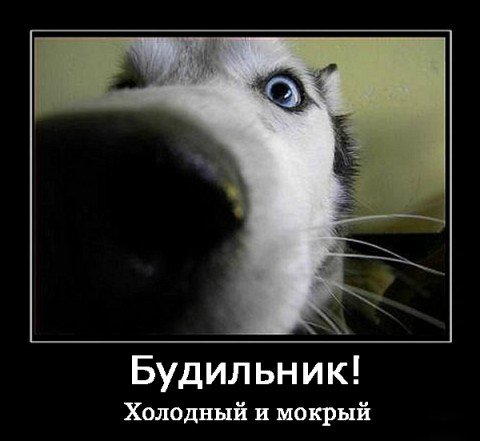 Понедельник - день тяжёлый | Бэйбики Понедельник - день тяжёлый