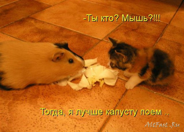 Море позитива) Для поднятия настроения (осторожно! много фото)))) | Бэйбики Море позитива) Для поднятия настроения (осторожно! много фото))))