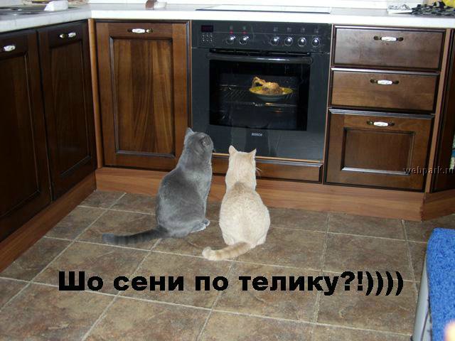 Море позитива) Для поднятия настроения (осторожно! много фото))))