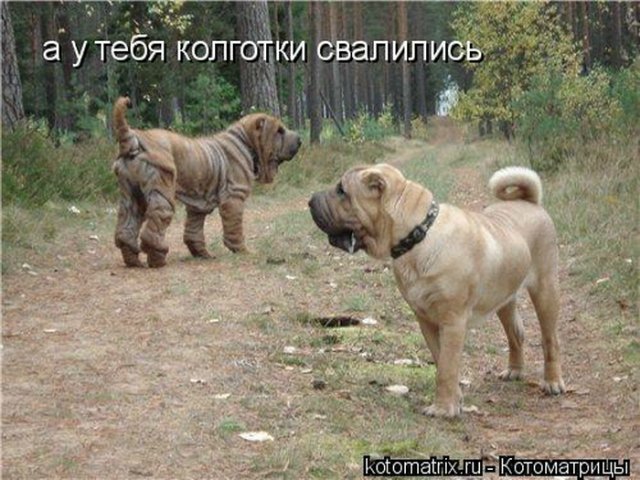 Понедельник - день тяжёлый | Бэйбики Понедельник - день тяжёлый