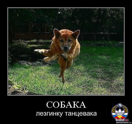 Понедельник - день тяжёлый | Бэйбики Понедельник - день тяжёлый