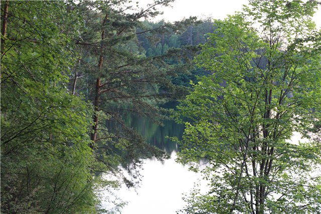 Трое в лодке, не считая собаки