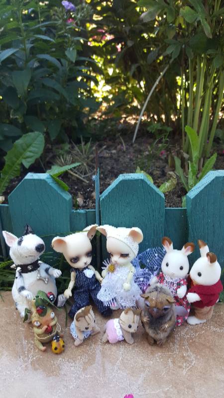 Большая свадьба Панг-Панга и Джулии (фото 10)