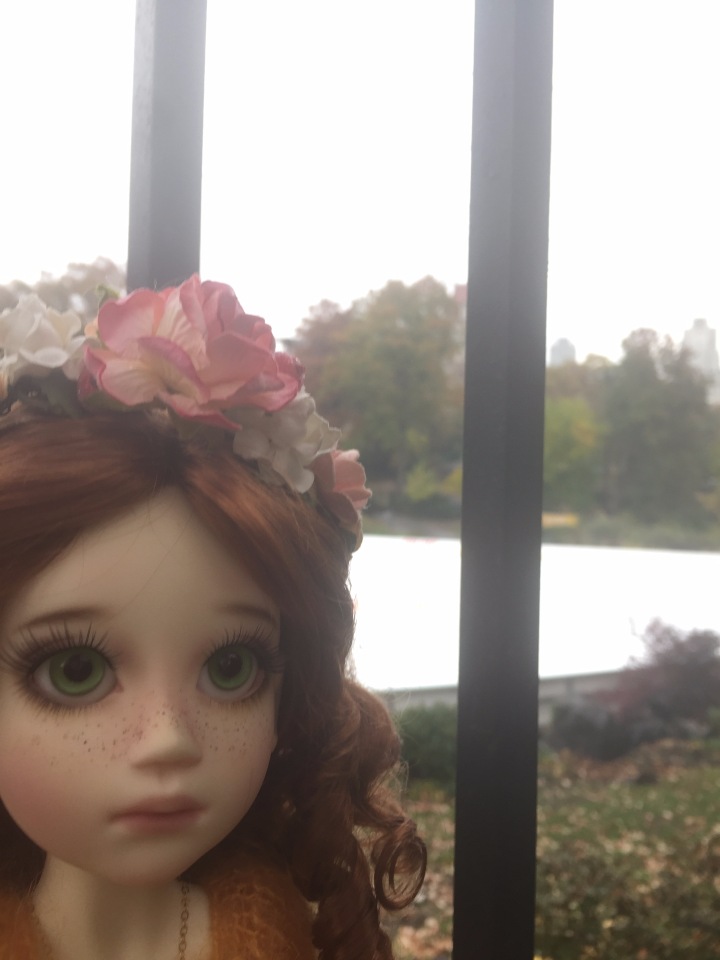 Луна гуляет в Центральном Парке в Манхаттане