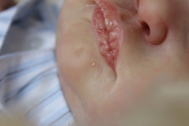 Сиренити от Екатерины Бойковой. Serenity Laura Lee Eagles