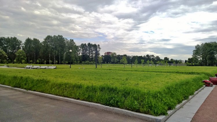 Я не участвую в войне — она участвует во мне